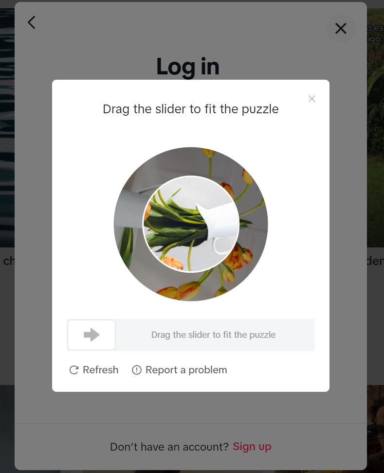 2026-01-10T02:23:24.png 2026-01-10T02:23:24.png